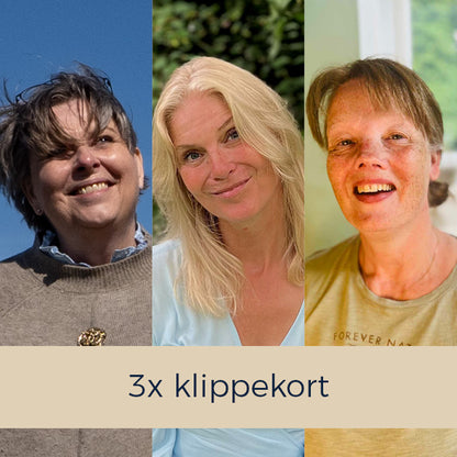 Klippekort til 3x 1-1 sessioner