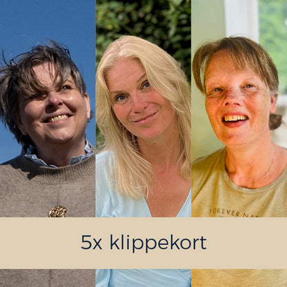 Klippekort til 5x 1-1 sessioner